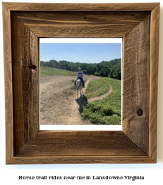 horse trail rides near me in Lansdowne, Virginia